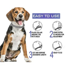 Dog Flea & Tick Collar | Natural Water-Resistant Protection Collar for All Dog Breeds (Up to 8 Months) Top Trendy Essentials