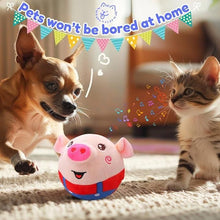Dancing Piggy Ball Toy - Top Trendy Essentials