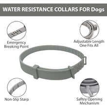Dog Flea & Tick Collar | Natural Water-Resistant Protection Collar for All Dog Breeds (Up to 8 Months) Top Trendy Essentials