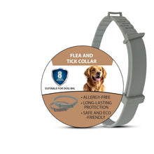 Dog Flea & Tick Collar | Natural Water-Resistant Protection Collar for All Dog Breeds (Up to 8 Months) Top Trendy Essentials