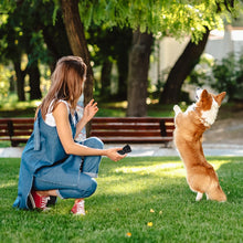 Ultrasonic Dog Chaser | Portable Dog Training & Bark Control Device with Flashlight Top Trendy Essentials