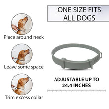 Dog Flea & Tick Collar | Natural Water-Resistant Protection Collar for All Dog Breeds (Up to 8 Months) Top Trendy Essentials
