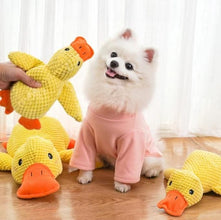 Stuffed Squeaky Plush  Dog Toy for Pets Engagement 4nmtwe-ev