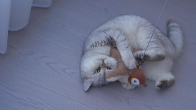 Flapping Cat Toy - Top Trendy Essentials