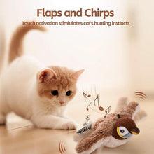 Flapping Cat Toy - Top Trendy Essentials
