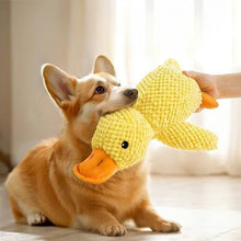Stuffed Squeaky Plush  Dog Toy for Pets Engagement 4nmtwe-ev