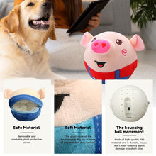 Dancing Piggy Ball Toy - Top Trendy Essentials