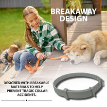 Dog Flea & Tick Collar | Natural Water-Resistant Protection Collar for All Dog Breeds (Up to 8 Months) Top Trendy Essentials