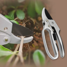 Pruning Shears – 20 cm Steel Garden Shears (1 Pc)