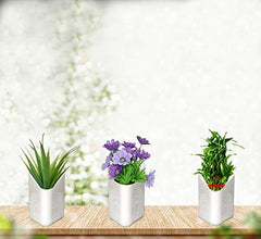 Plastic Vertical Hanging Planter Pot – Multicolor