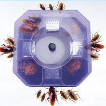 Cockroach Trap Box - Roach Catcher & Bug Killer