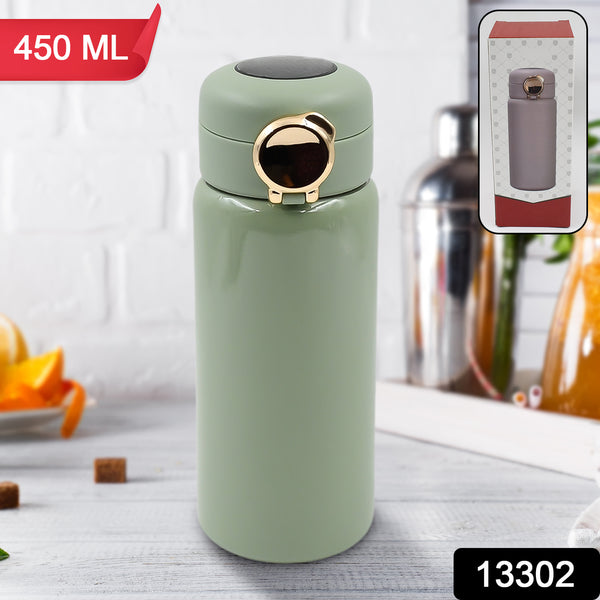 Stainless Steel Water Bottle (450 Ml)