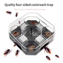 Cockroach Trap Box - Roach Catcher & Bug Killer