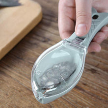 Fish Scale Scraper Peeler – Fish Tools for Kitchen