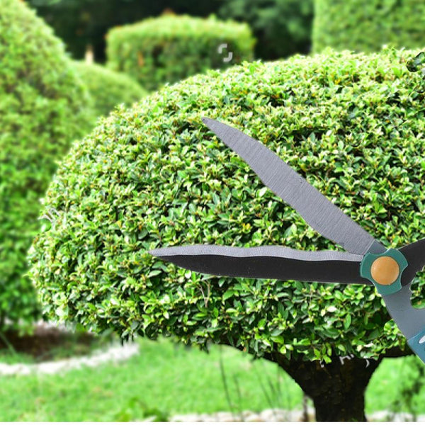 Garden Big Scissor – Heavy-duty pruning scissors designed for cutting large branches, plants, and garden maintenance. Ideal for heavy-duty tasks in outdoor gardens.