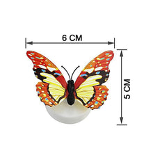 The Butterfly 3D Night Lamp – Illusion Design for Drawing Room and Lobby