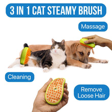 3 In 1 Cat Steamy Brush