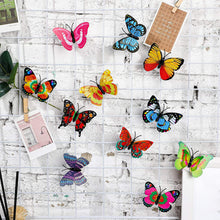 The Butterfly 3D Night Lamp – Illusion Design for Drawing Room and Lobby