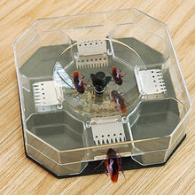 Cockroach Trap Box - Roach Catcher & Bug Killer