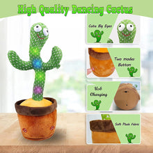 Dancing Cactus Toy