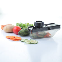 8101 Ganesh Plastic Vegetable Slicer Cutter Black