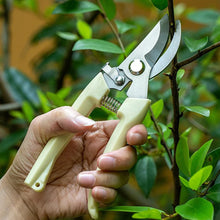 Stainless Steel Pruning Shears With Sharp Blades And Comfortable Handle - Durable Hand Pruner For Comfortable And Easy Cutting Heavy Duty Gardening Cutter Tool Plant Cutter For Home Garden  Wood Bran (1 Pc)