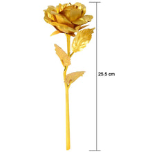 Golden Rose – Elegant Decor for Homes, Offices, and Cafes