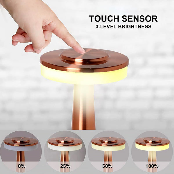 LED Touch Control Desk Lamp – USB Rechargeable, 3 Colors & Brightness Levels, Portable Metal Lamp for Home & Kids Room (1 Pc)